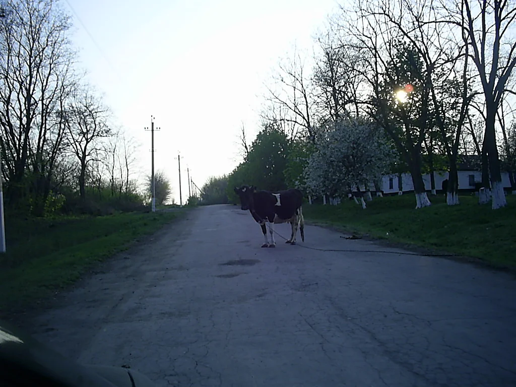 Photo of Novohryhorivka