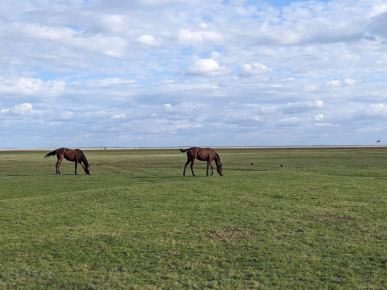Photo of Novoishimskoye