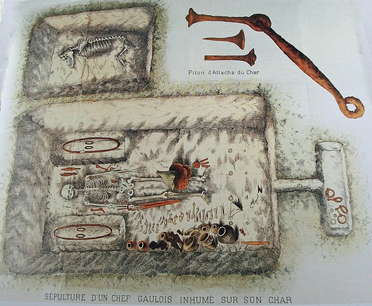 Photo of Novokorsunskaya