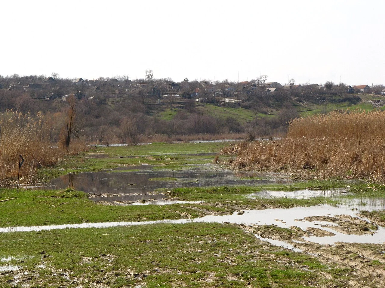 Photo of Novopetrivske