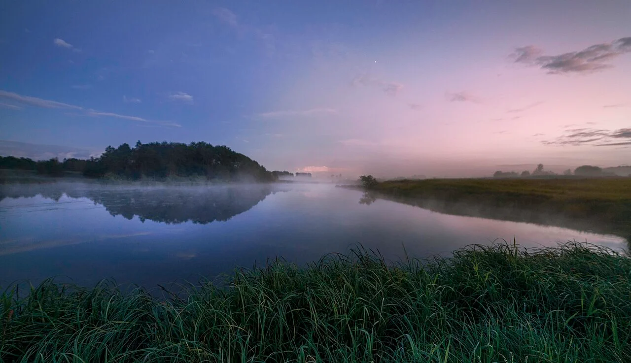 Photo of Novosokol’niki