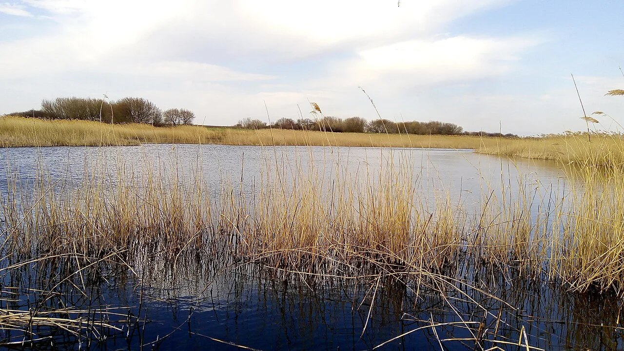 Photo of Novoyehorivka