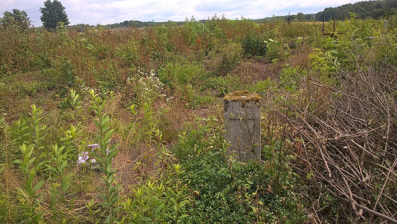 Photo of Nowe Lipiny