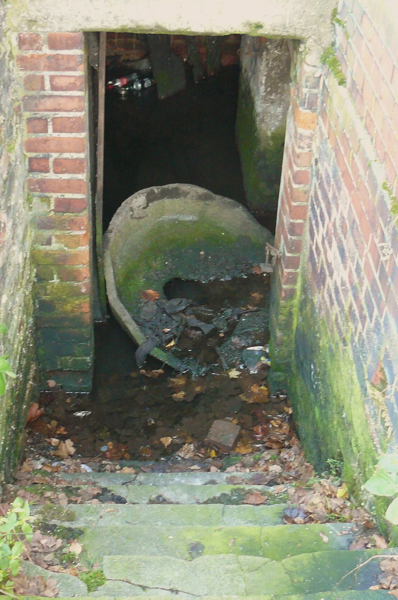 Photo of Nowe Skalmierzyce