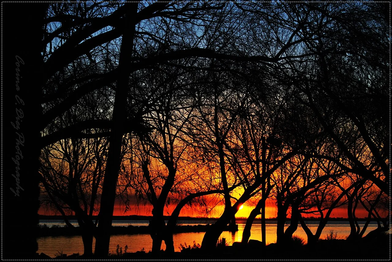 Photo of Nueva Palmira