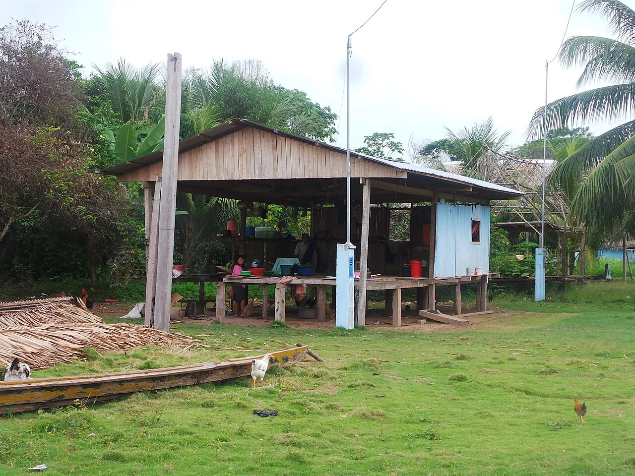 Photo of Nueva Requena