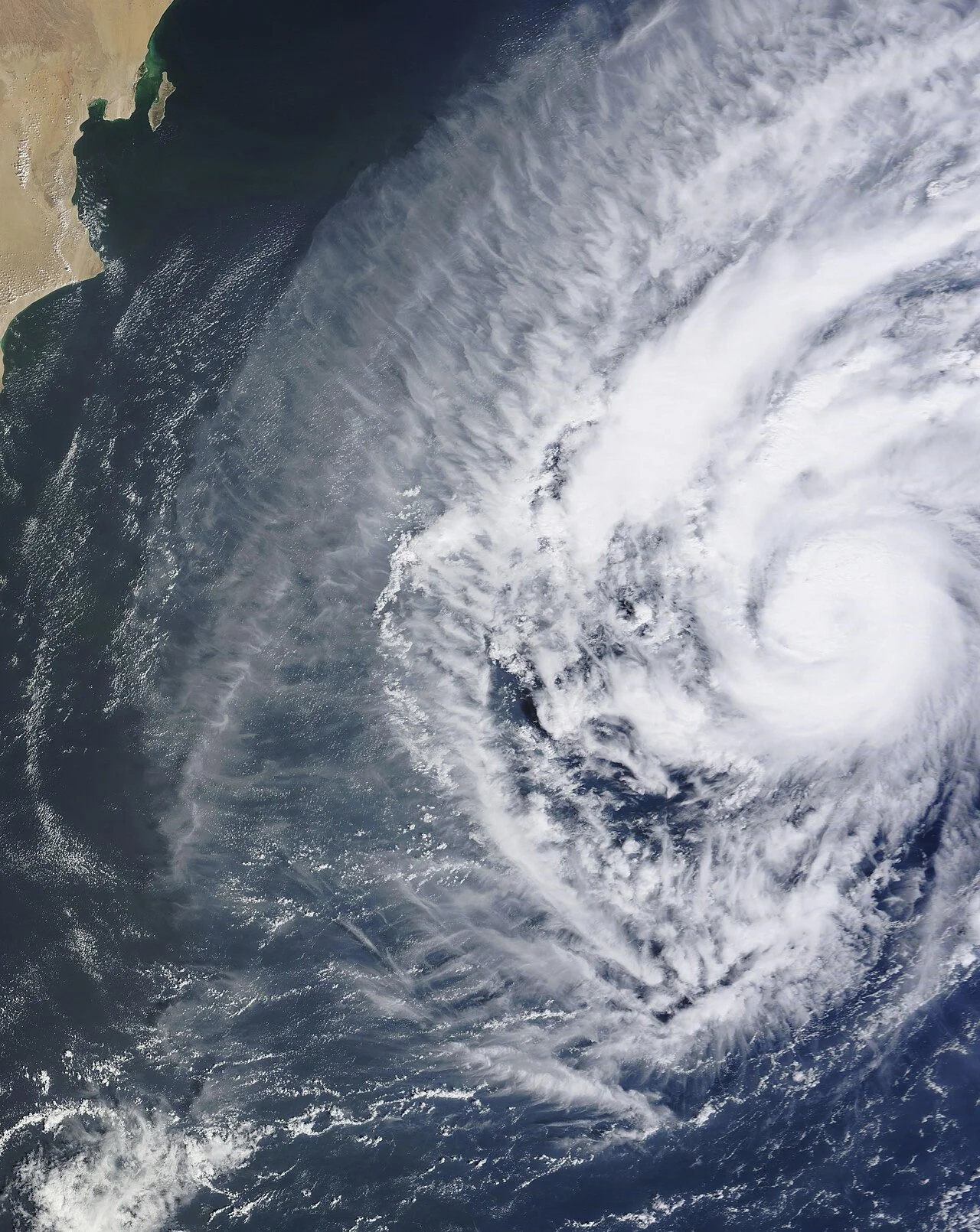 Photo of Nuevo Ideal