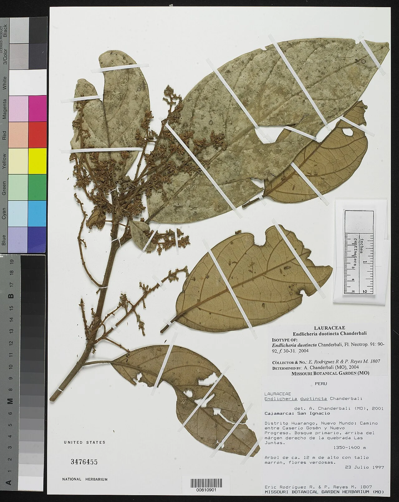 Photo of Nuevo Progreso