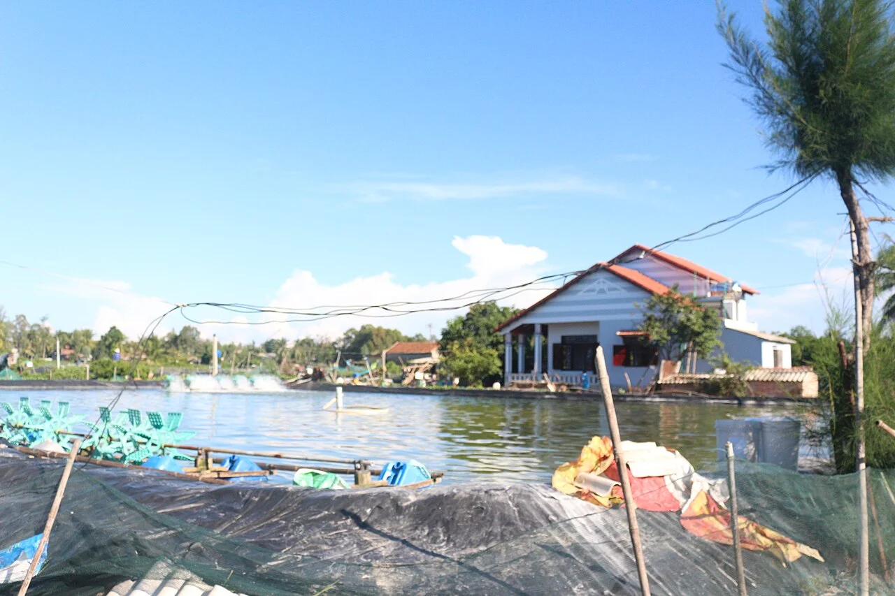 Photo of Núi Thành