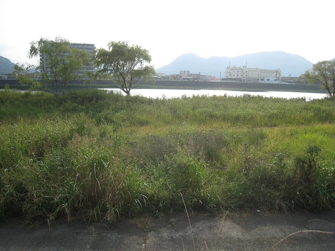 Photo of Numazu