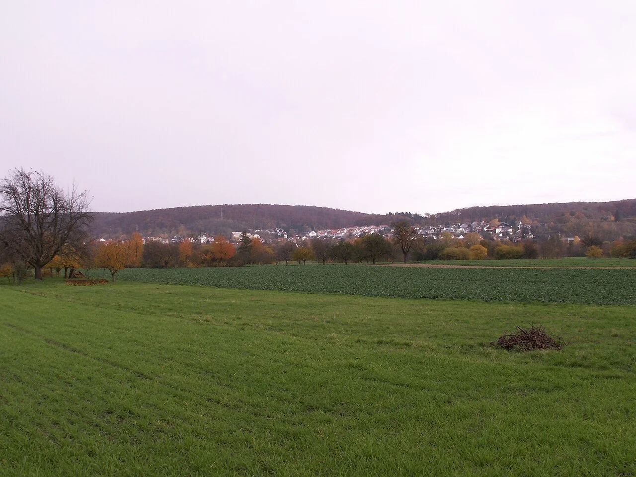 Photo of Nußloch