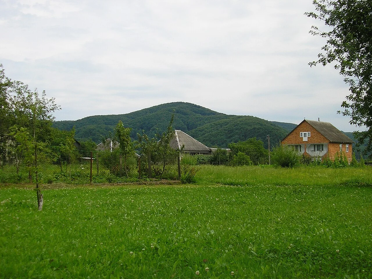 Photo of Nyzhnye Selyshche