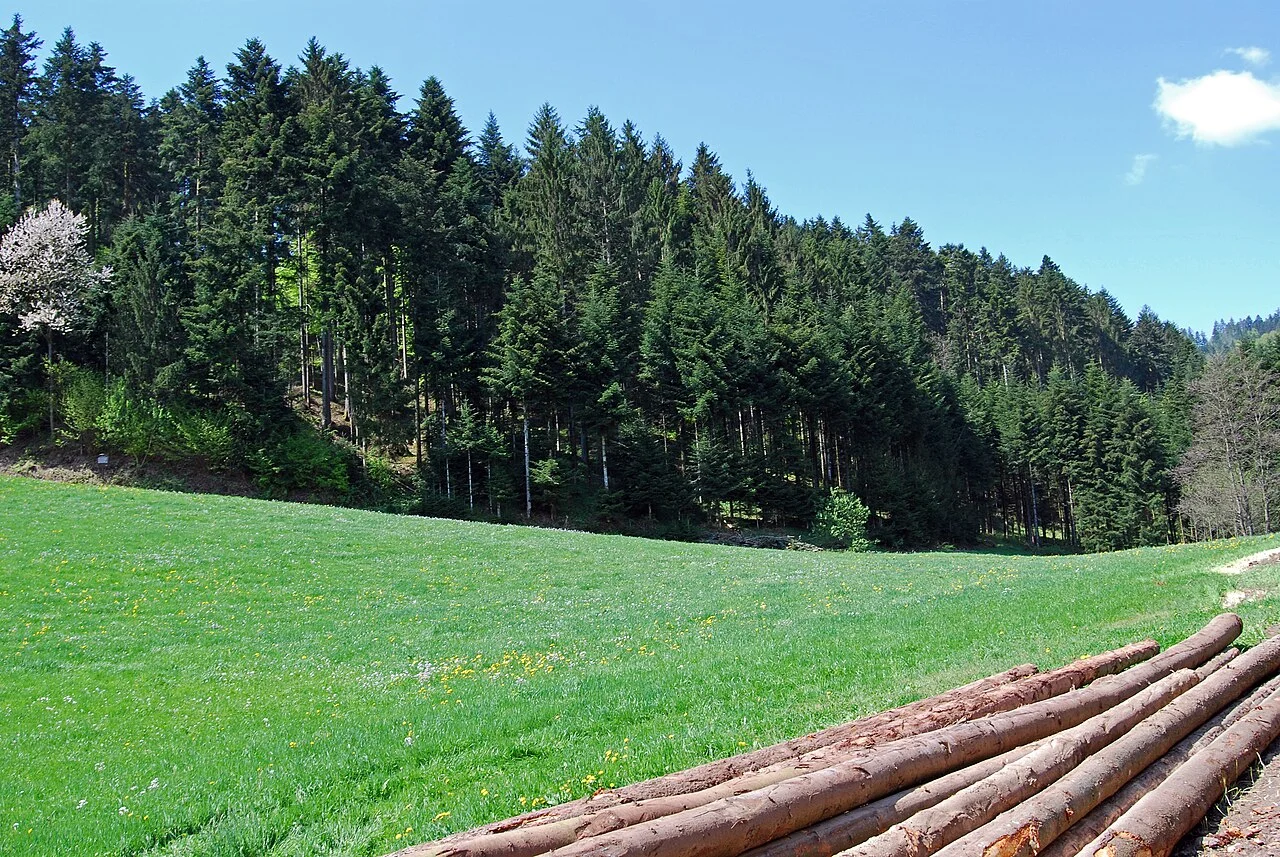 Photo of Oberharmersbach