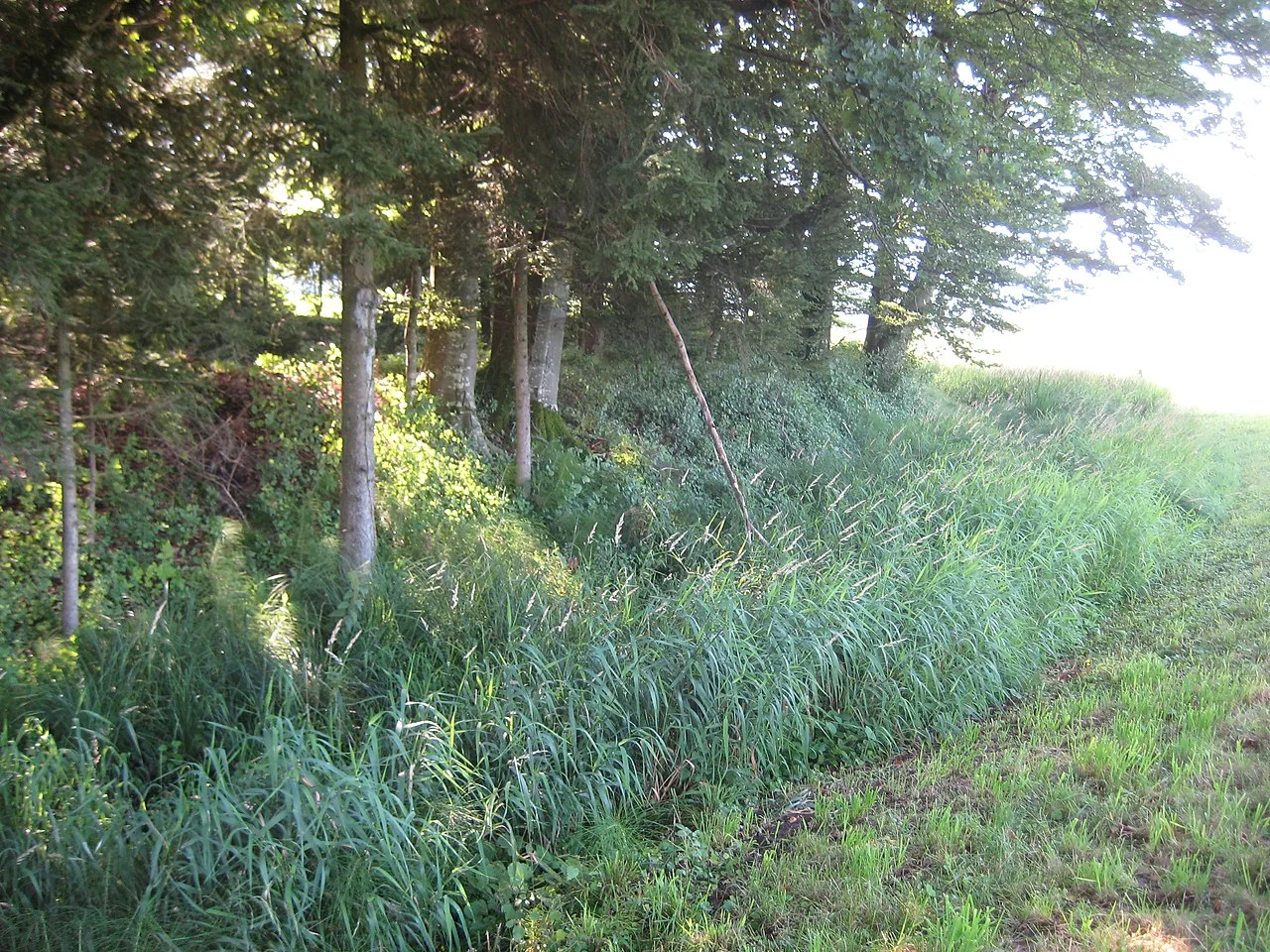 Photo of Oberhofen am Irrsee
