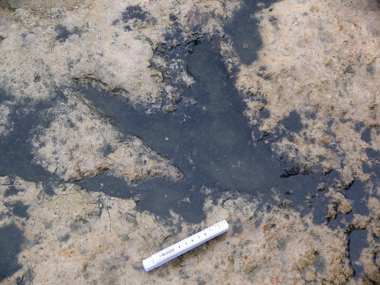 Photo of Obernkirchen