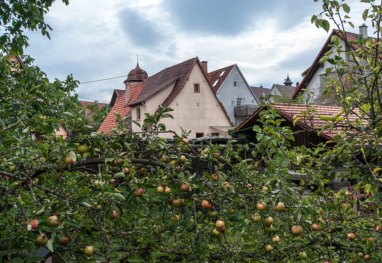 Photo of Oberriexingen