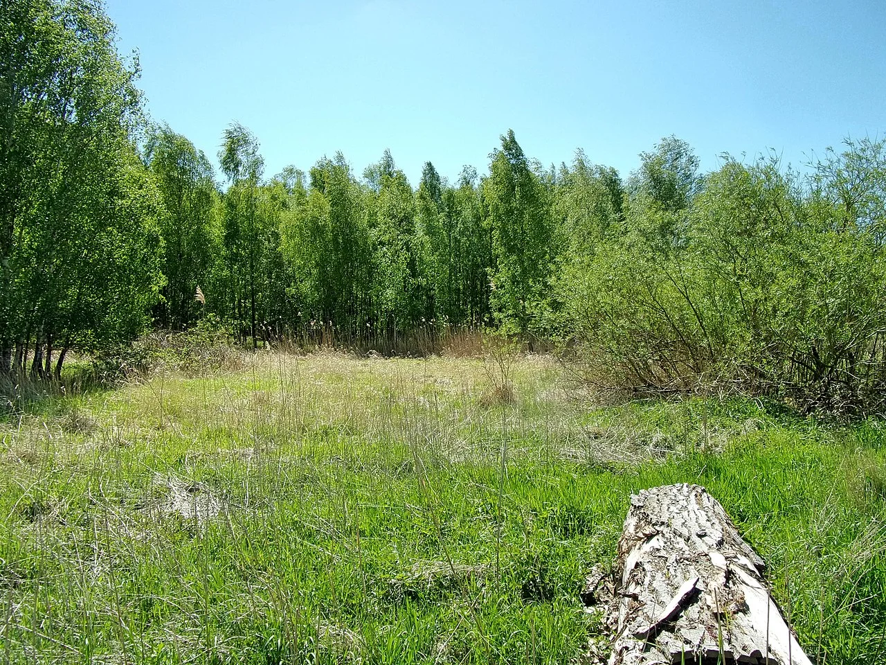 Photo of Ochsenwerder