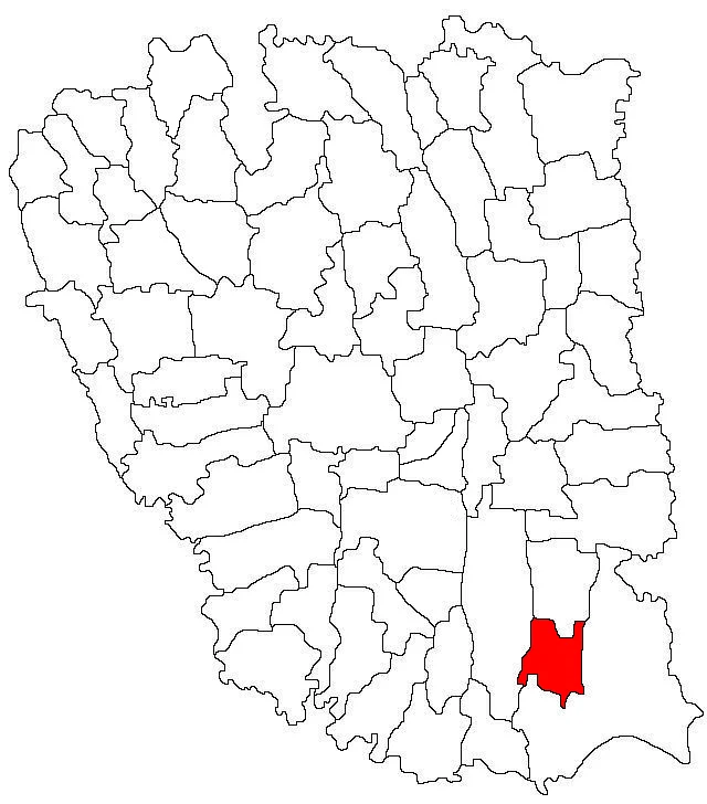 Photo of Odaia Manolache