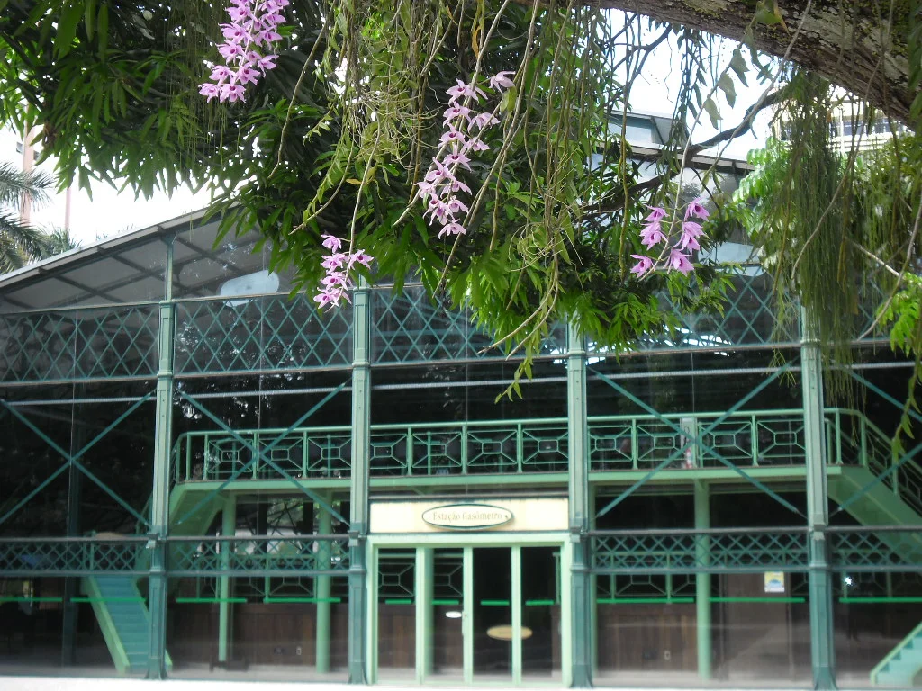 Photo of Oeiras do Pará