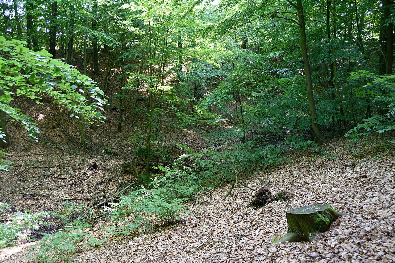 This image was uploaded as part of Wiki Loves Earth 2014.