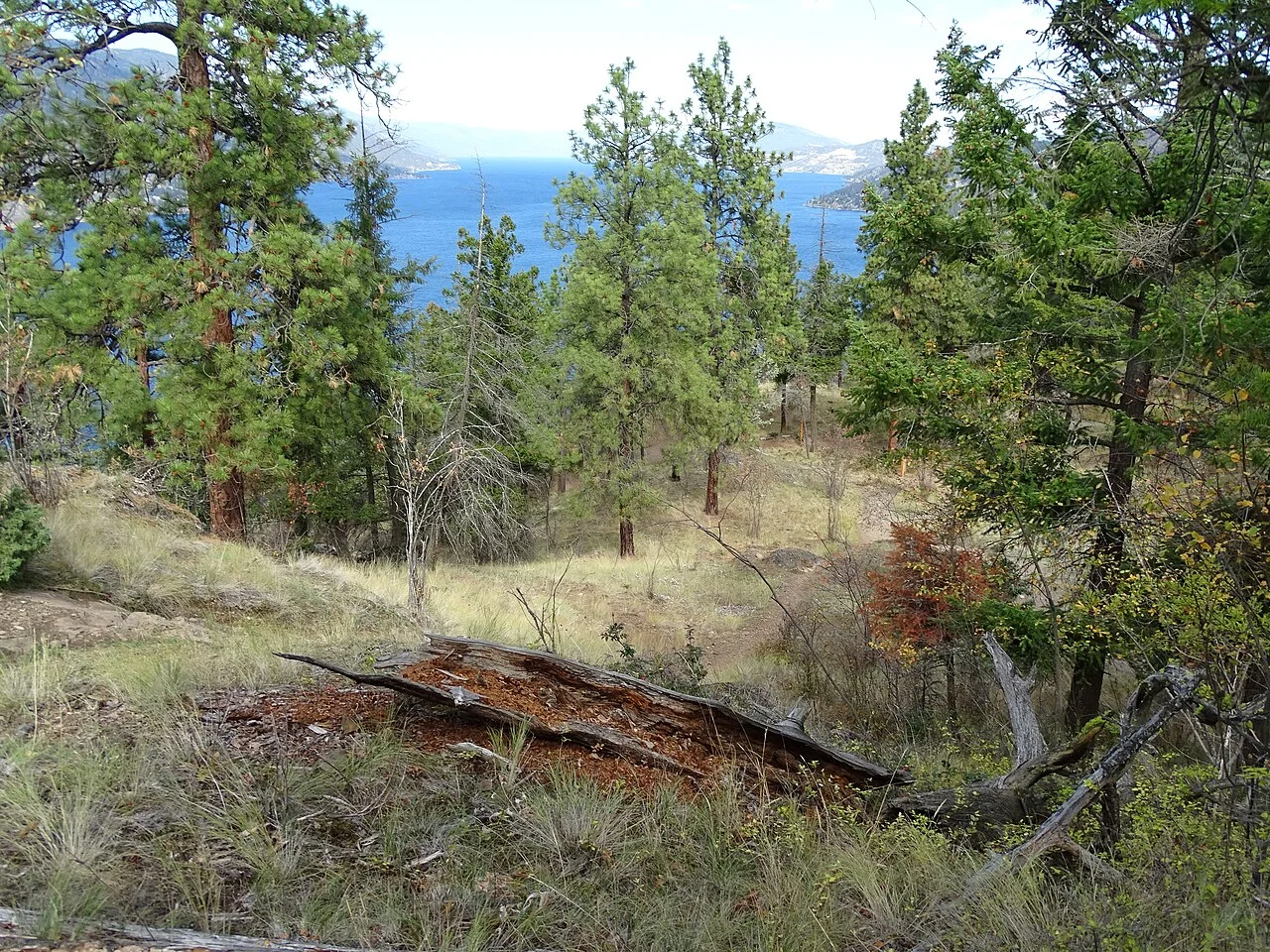 Photo of Okanagan Mission