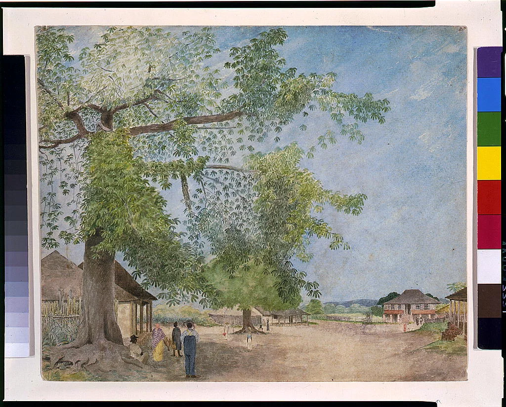 Photo of Old Harbour