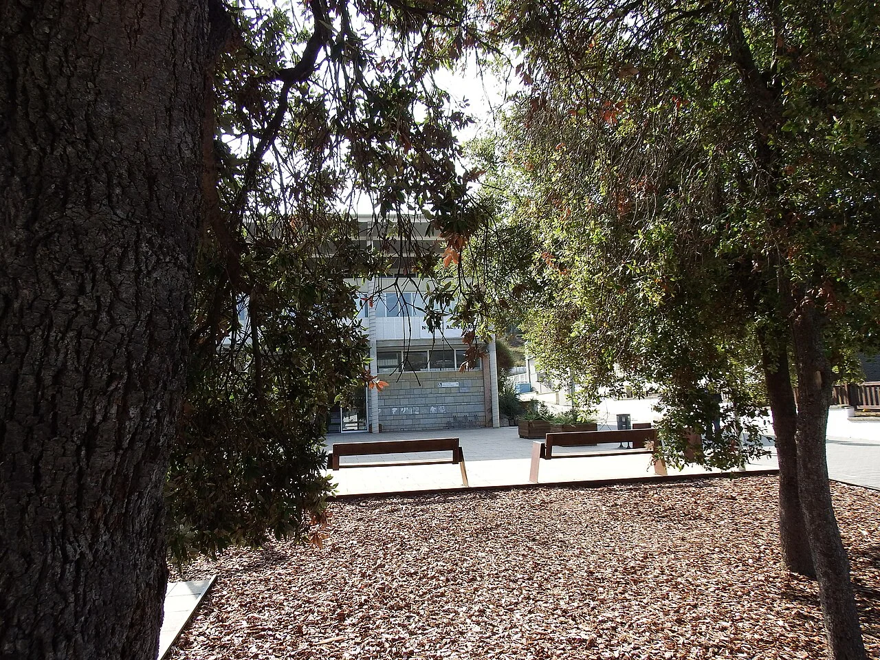 Photo of Olesa de Bonesvalls