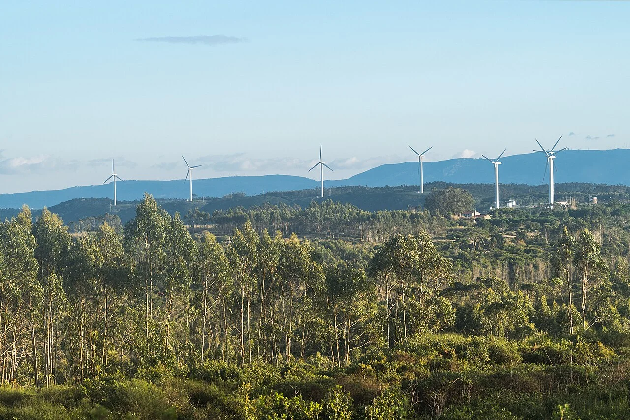 Photo of Olho Marinho