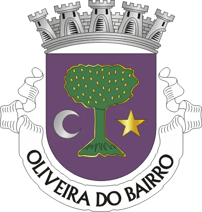 Photo of Oliveira do Bairro