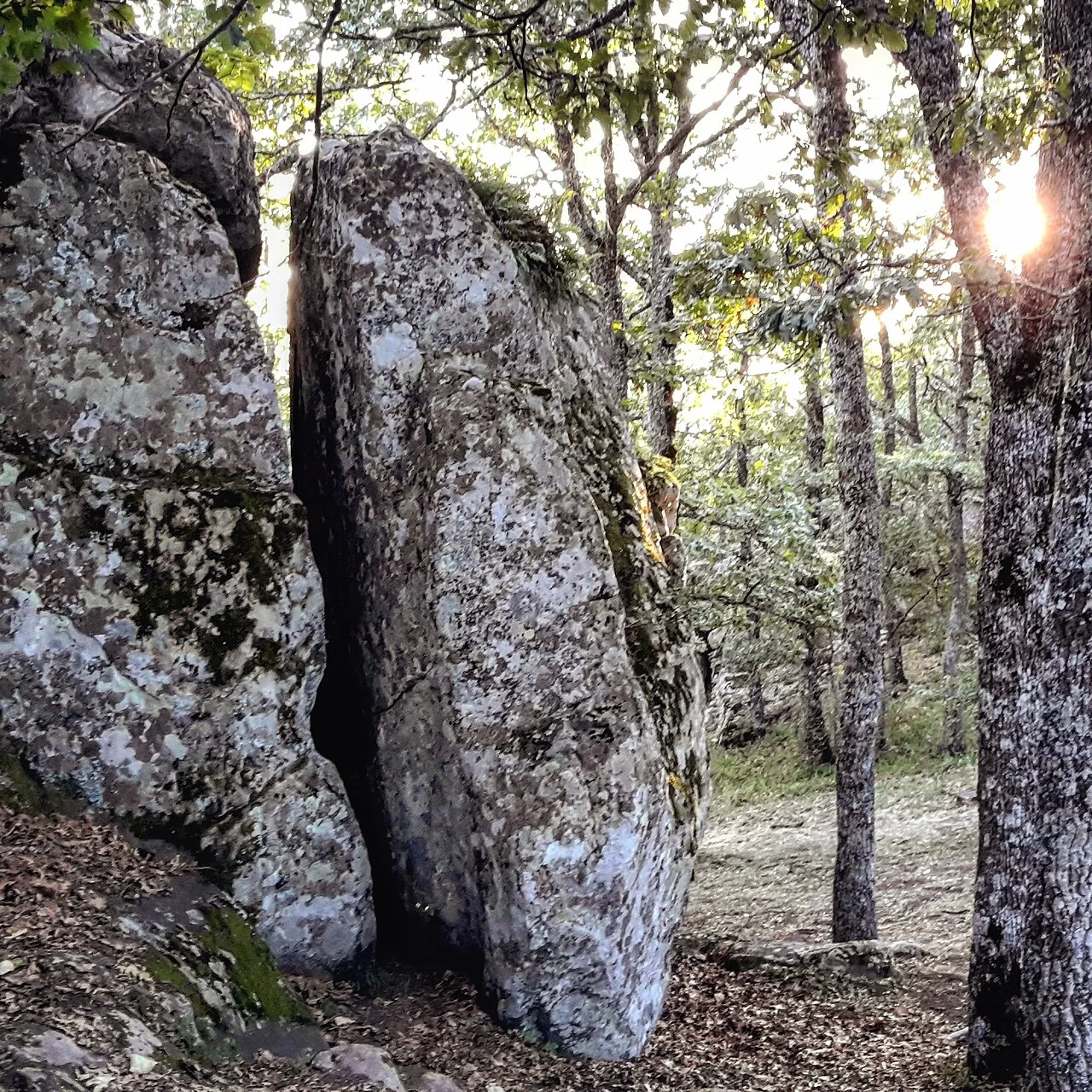 Photo of Oliveto Lucano