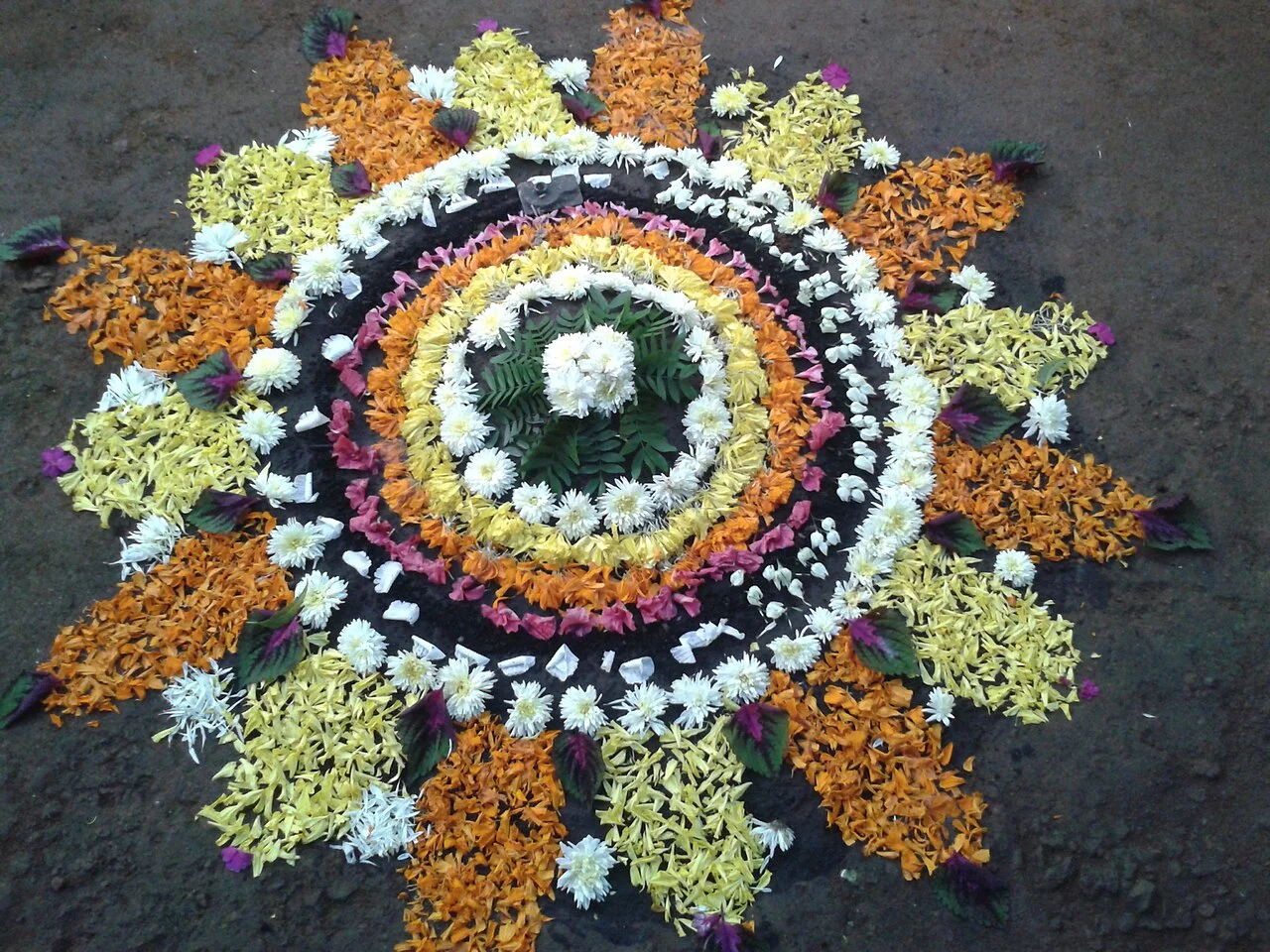 Photo of Onam