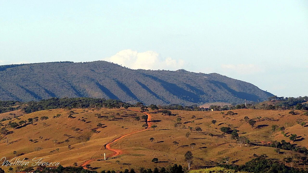 Photo of Onça de Pitangui
