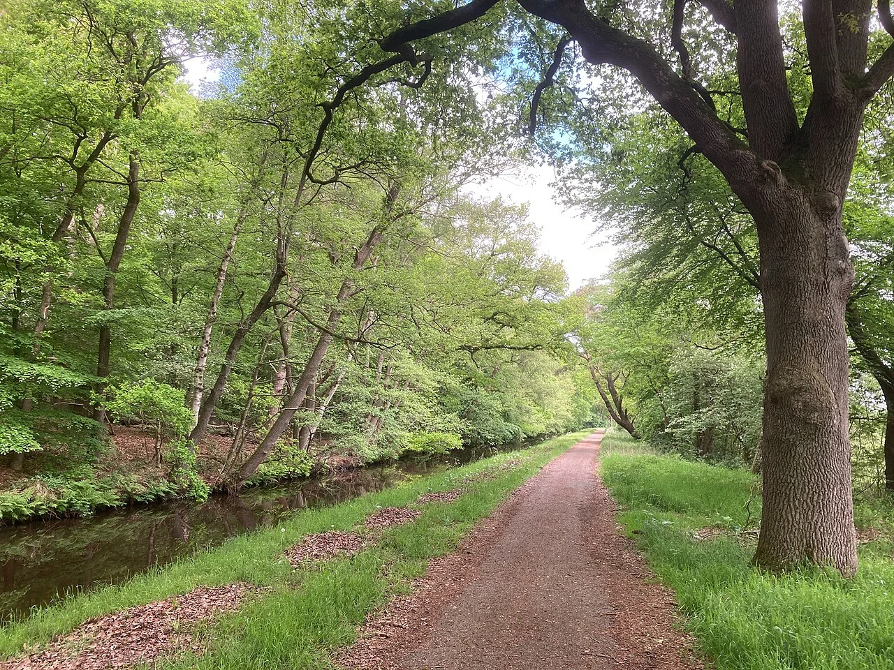 Photo of Oosterhesselen