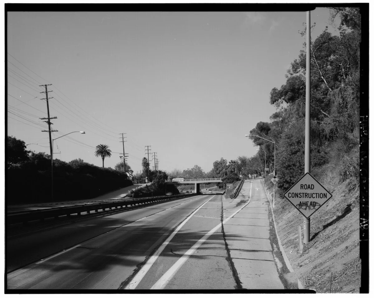 Photo of Orange Grove