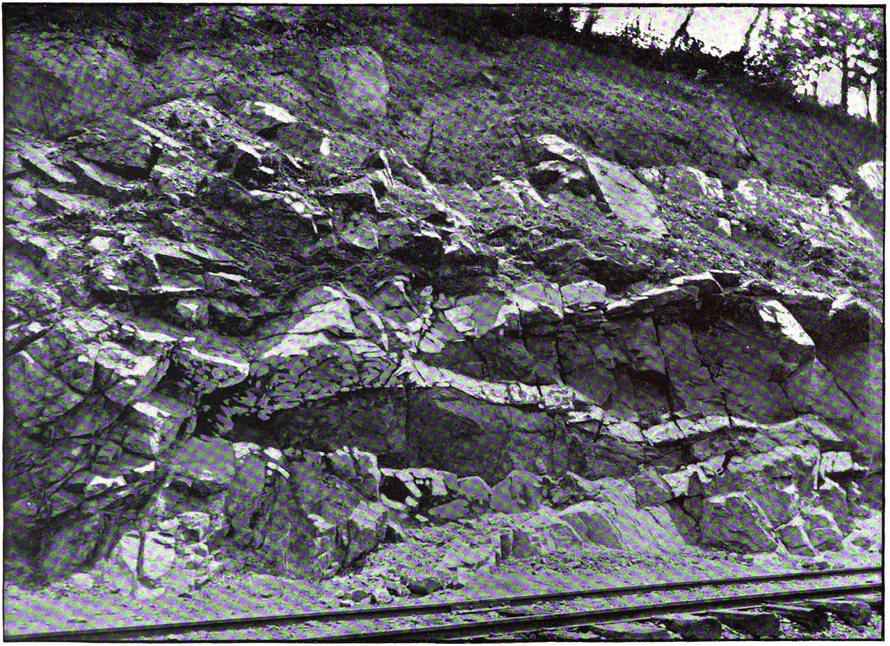 Photo of Orange Grove