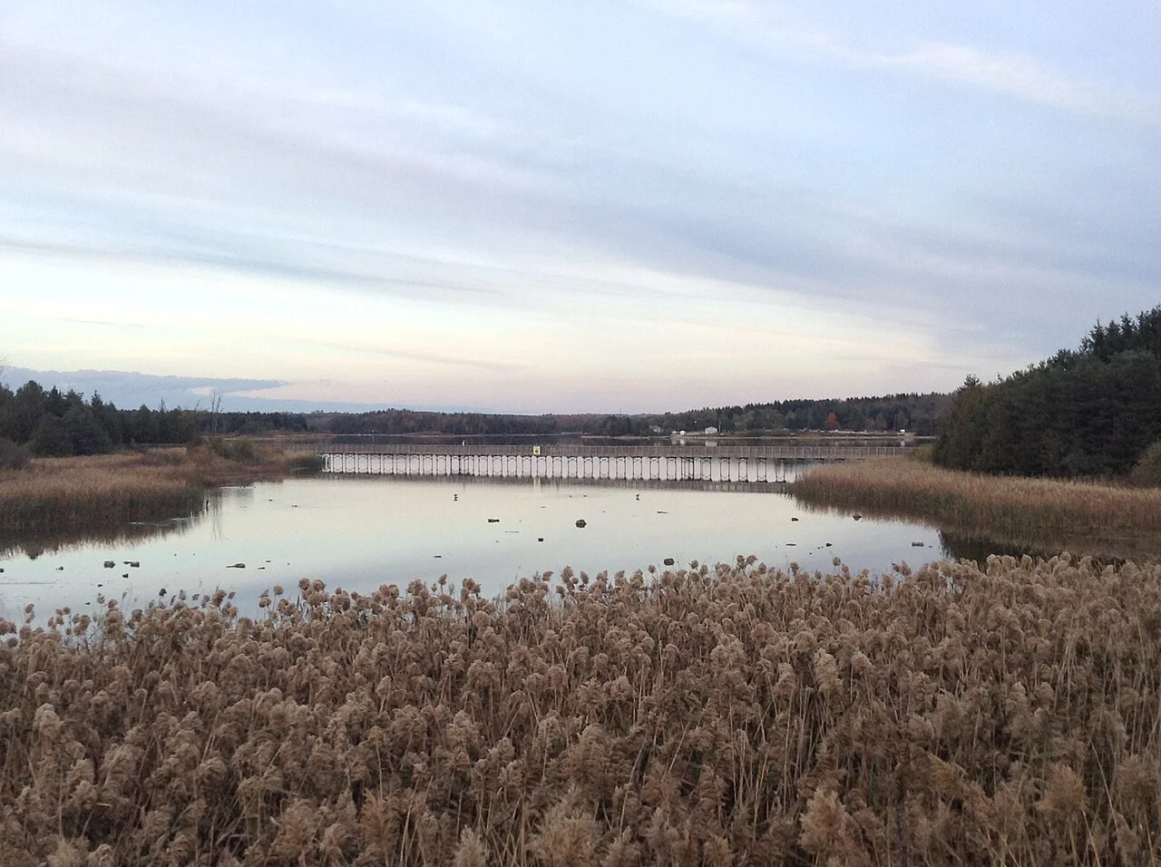 Photo of Orangeville