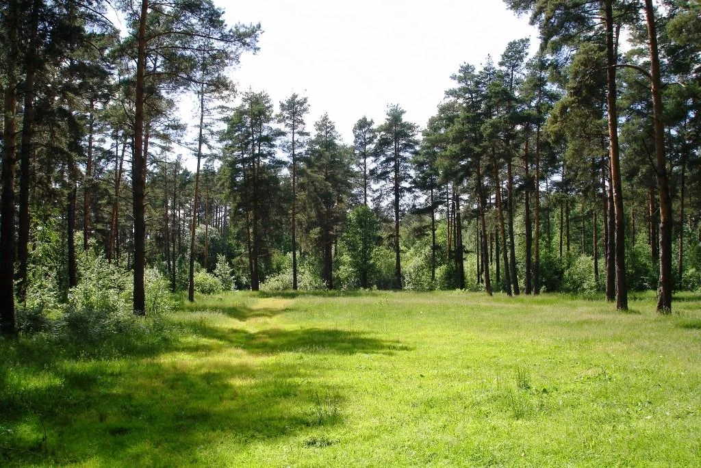 Photo of Orekhovo-Zuyevo