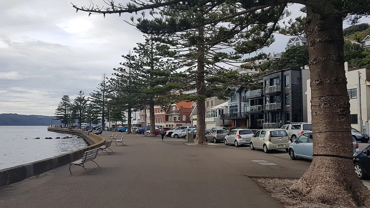Photo of Oriental Bay