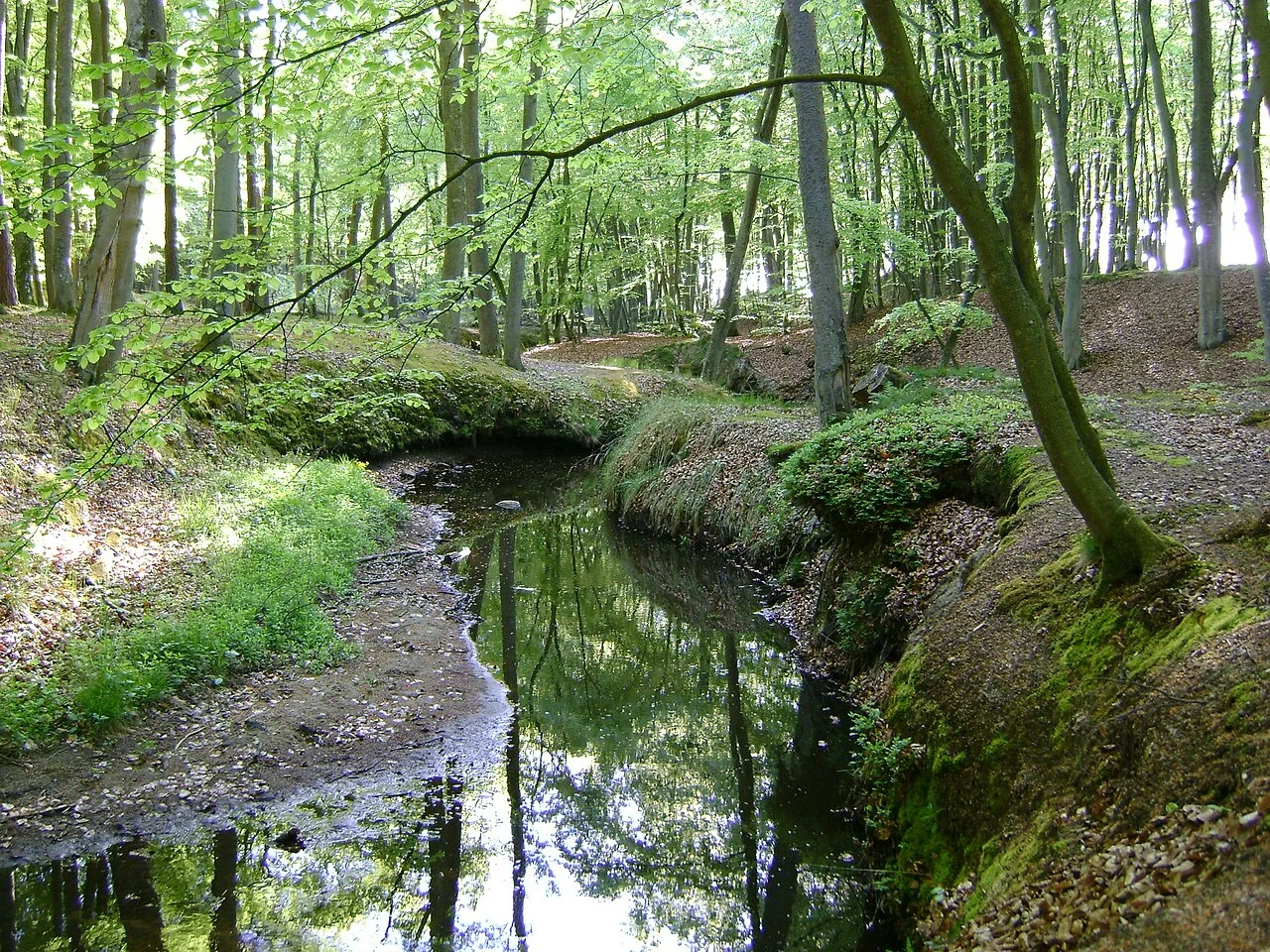 Photo of Orzechówka