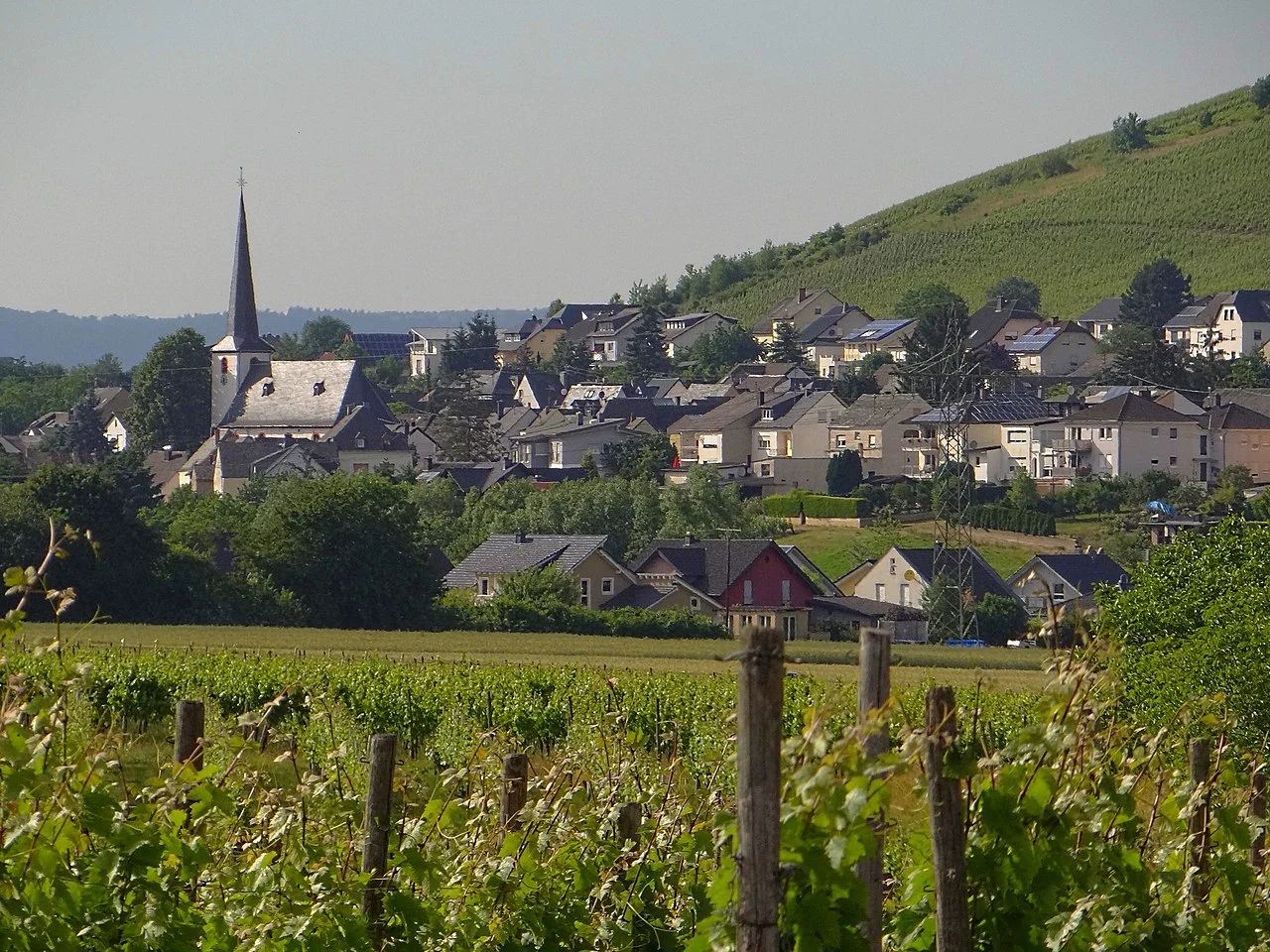 Photo of Osann-Monzel