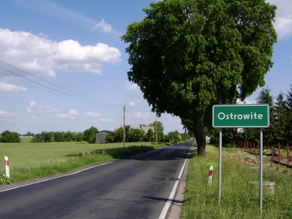 Photo of Ostrowite