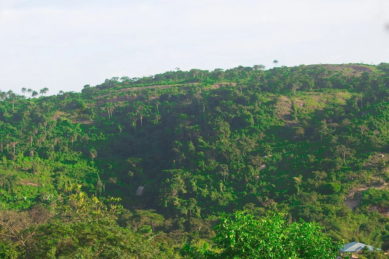 Photo of Otan Ayegbaju