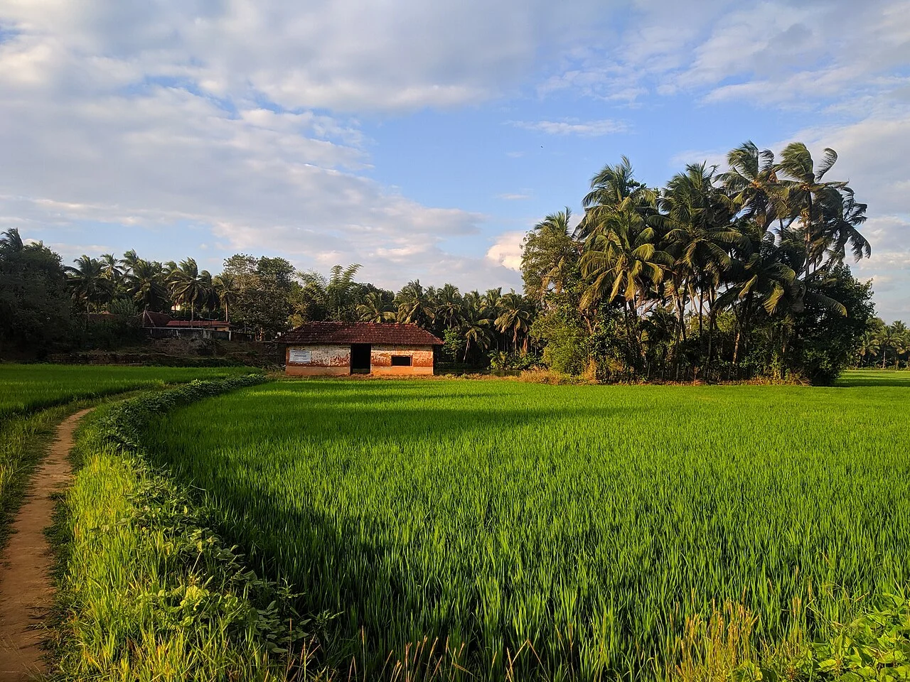 Photo of Ottapalam