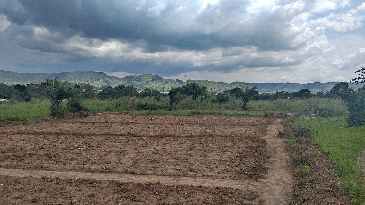 Photo of Ouango