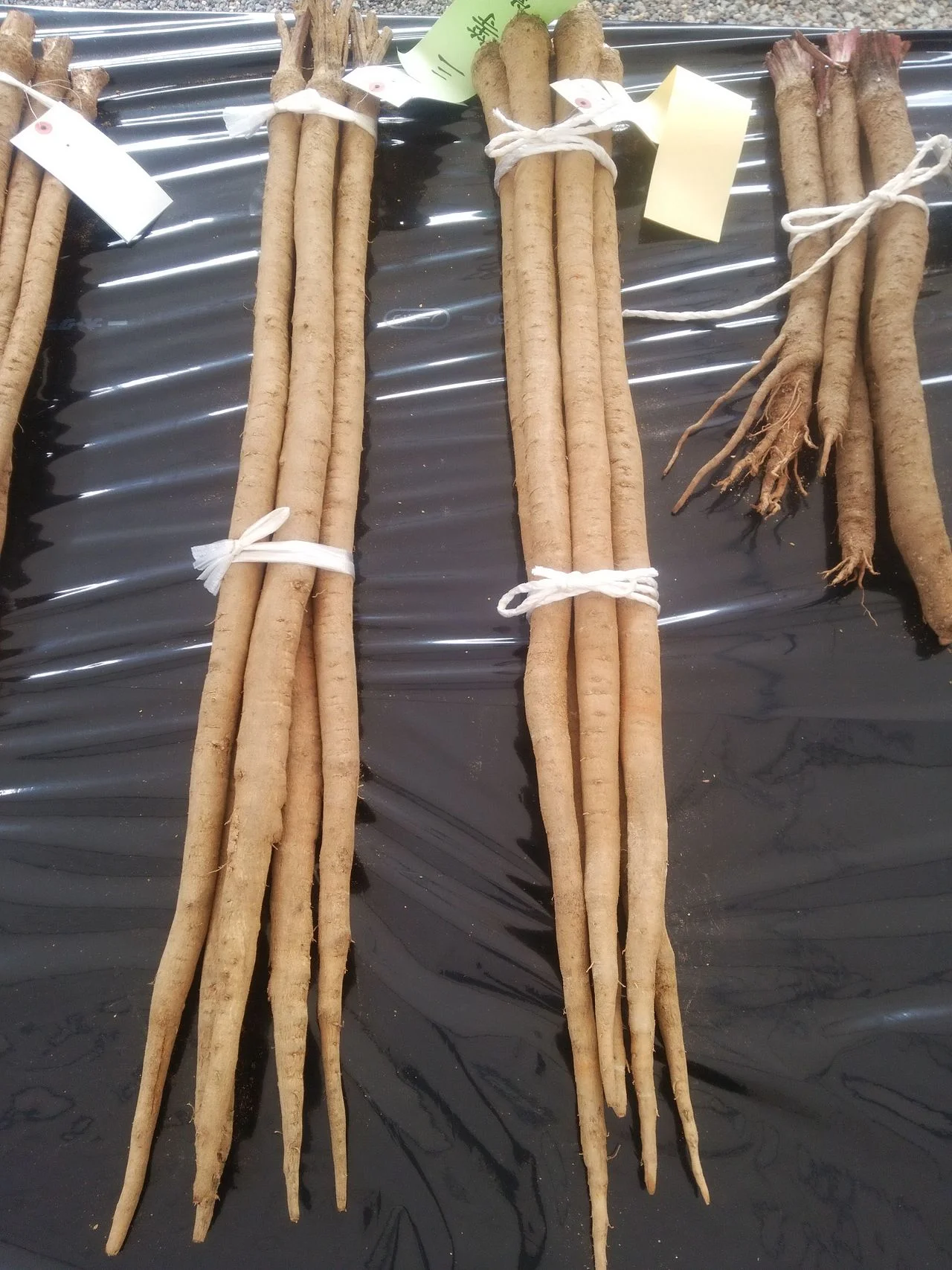 Photo of Ōuda-yamaguchi