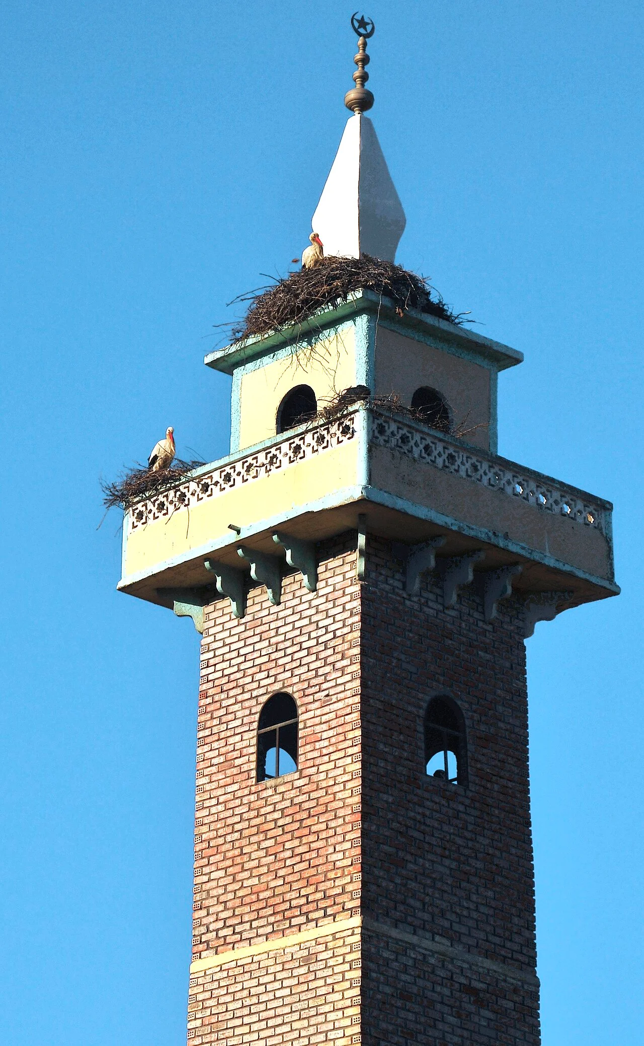 Photo of Oued Zenati