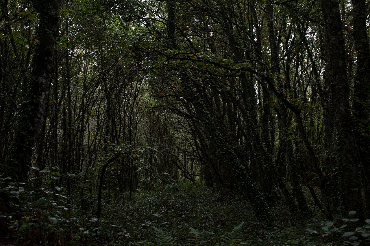 Photo of Outeiro de Rei