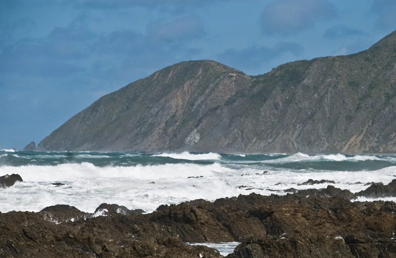 Photo of Owhiro Bay