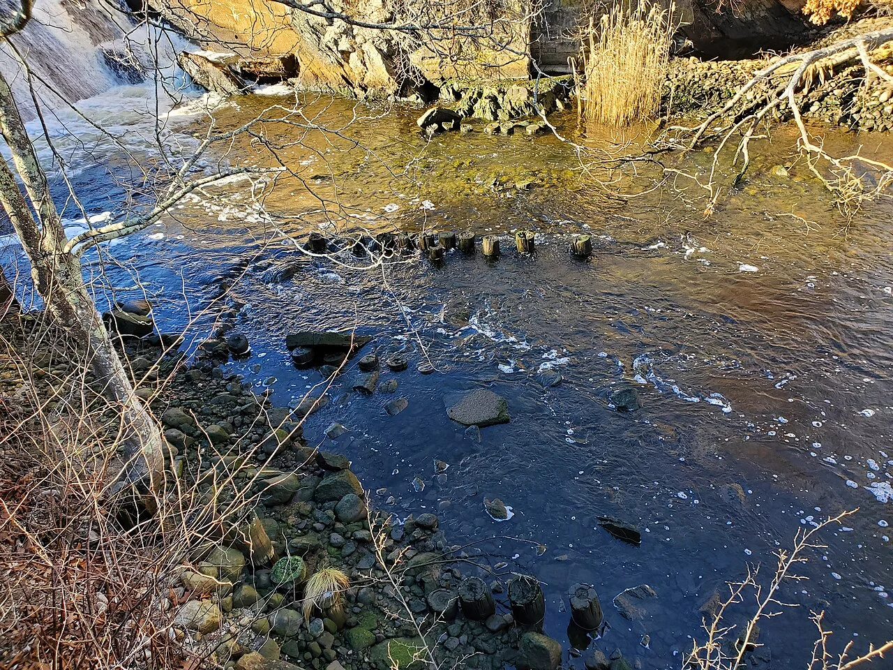 Photo of Oxoboxo River