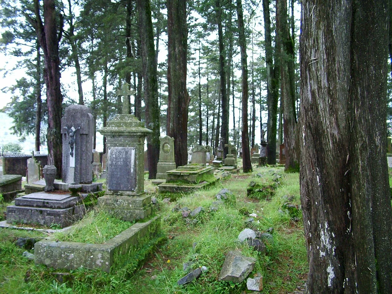 Photo of Oyameles de Hidalgo